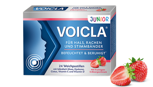 Packung Erdbeere VOICLA