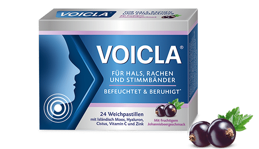 Packung Johannisbeere VOICLA